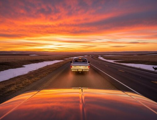 Auto Insurance for Rural Drivers: Navigating Unique Risks and Savings
